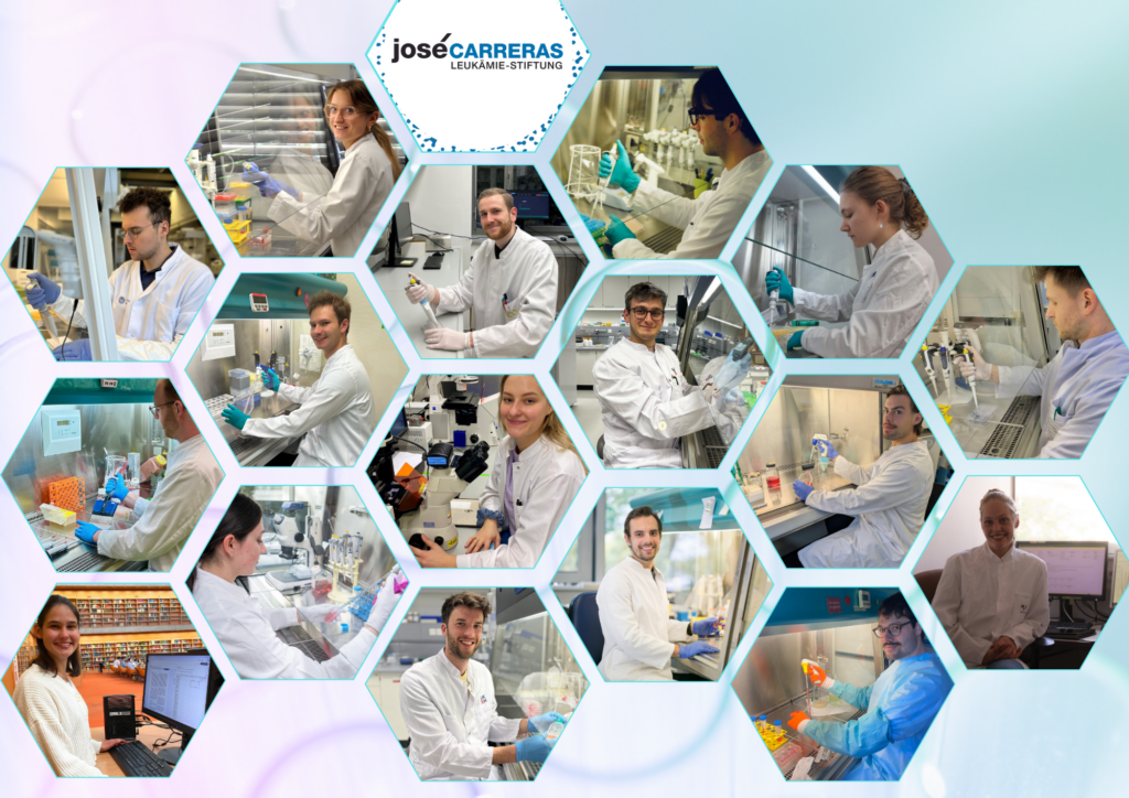 DJCLS Stipendien 2025